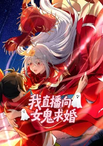 纸鸢少年番剧海报